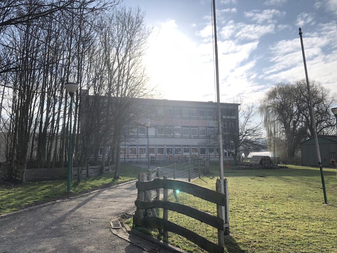 Egmont & Hoorn - BuSo school te Gavere
